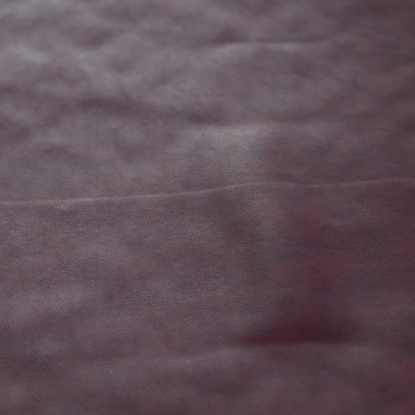 Lecce Faux Leather Matt Finish In Purple Colour CTR-1203