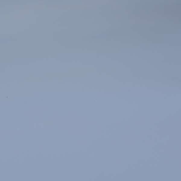 Bologna Eco Leather Bonded Smooth Matt Skin Finish Purple Colour Upholstery Material