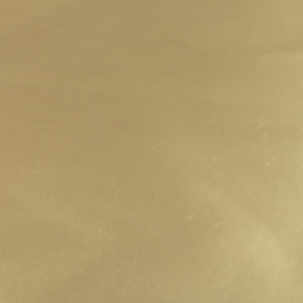 Nayarit Matt Faux Leather Material Gold Colour CTR-2636