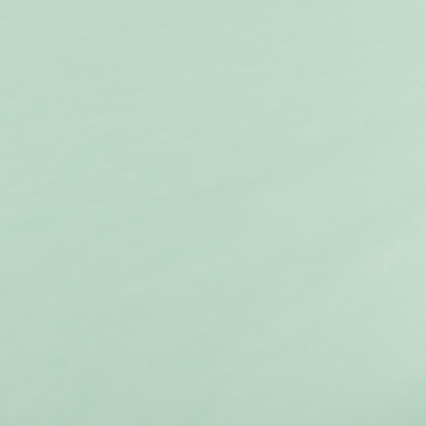 Nayarit Matt Faux Leather Material Sky Blue Colour CTR-2642