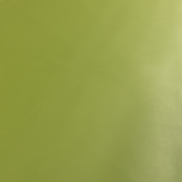 Nayarit Matt Faux Leather Material Green Colour CTR-2644