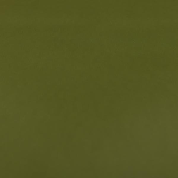 Jalisco Plain Faux Leather Material Green Colour CTR-2656