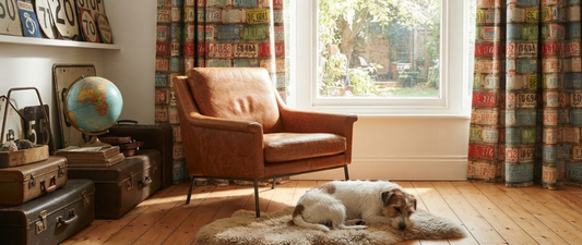 A Stylish Home That's Built for Pets
