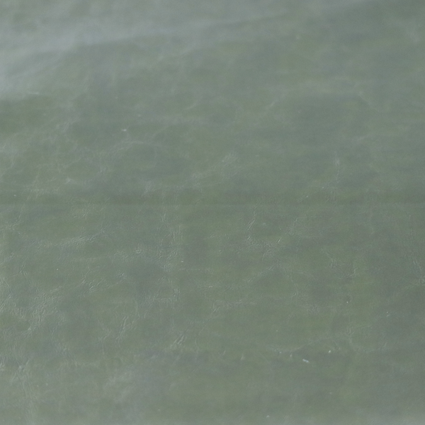 Padua Faux Leather Glossy Effect In Green Colour CTR-1367