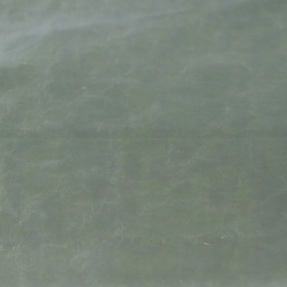 Padua Faux Leather Glossy Effect In Green Colour CTR-1367