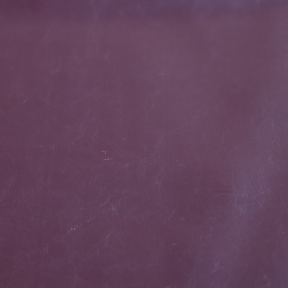 Padua Faux Leather Glossy Effect In Purple Colour CTR-1368