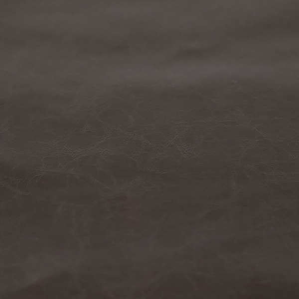 Padua Faux Leather Glossy Effect In Chocolate Brown Colour CTR-1371