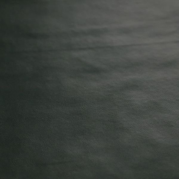 Sulmona Faux Leather Smooth Effect In Green Colour Upholstery Fabric CTR-1477