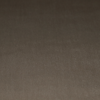 Trinity Silky Flat Water Repellent Velvet In Mocha Brown Colour Upholstery Fabric CTR-2185