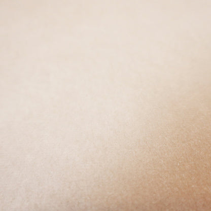 Trinity Silky Flat Water Repellent Velvet In White Colour Upholstery Fabric CTR-2187