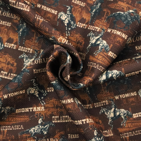 A dark, moody, repeating western tapestry pattern featuring realistic, vintage-style illustrations of cowboys on horseback, set against a deeply textured dark brown background. The palette relies on rich chocolate brown, earthy terracotta tones, and contrast details in cream and muted slate blue.