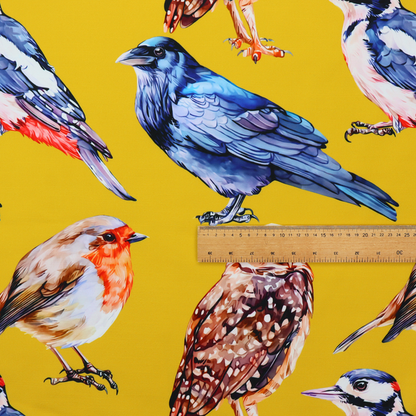 A vibrant yellow fabric patterned with a repeat design of various illustrated birds, including owls, robins, woodpeckers, and bluebirds