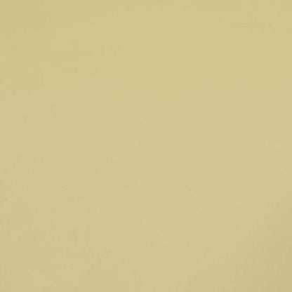 Beige Colour Soft Pile Velvet Upholstery Fabric BP140116-17