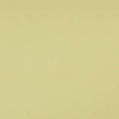 Light Beige Colour Soft Pile Velvet Upholstery Fabric BP170116-26