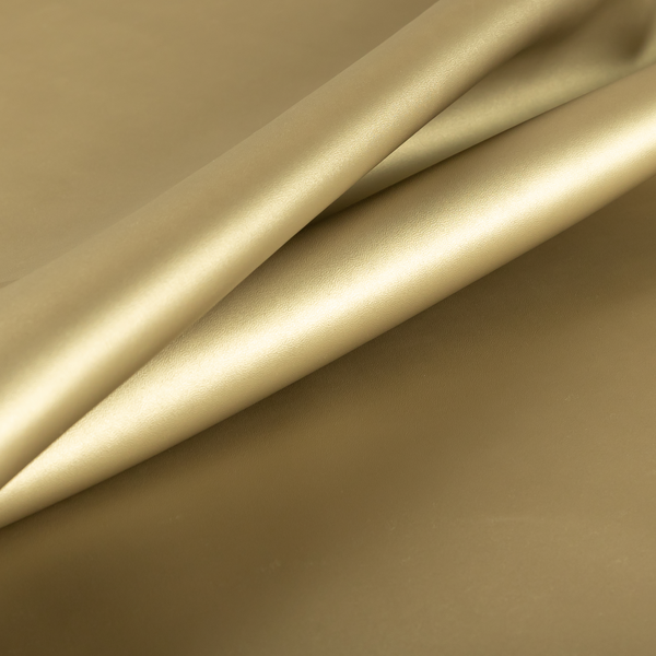 Nayarit Matt Faux Leather Material Gold Colour CTR-2636