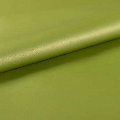 Nayarit Matt Faux Leather Material Green Colour CTR-2644