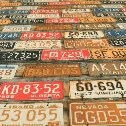 Freeway US Car License Number Plate Inspired Pattern Rust Colour Printed Chenille Upholstery Fabric - Handmade Cushions