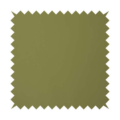 Paris Soft Pale Green Faux Leather PU Grain Finish Look