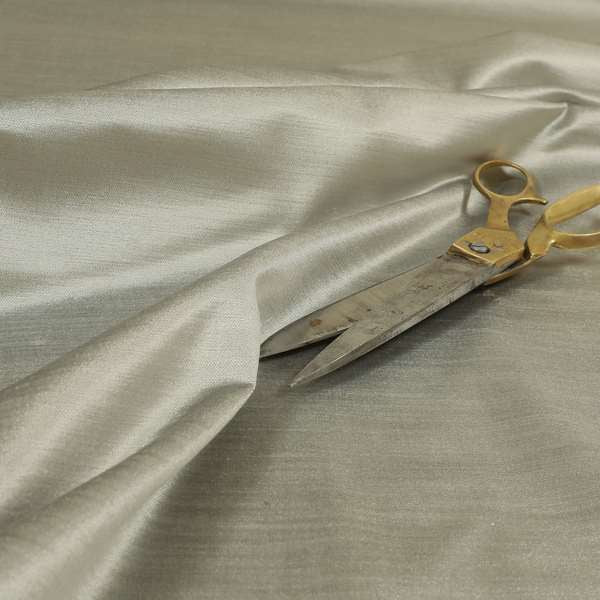 Rome Designer Silk Shine Velvet Effect Chenille Plain Furnishing Fabric In Silver Colour